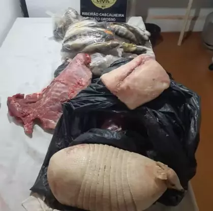 Caçador é preso com 11 kg de pescado ilegal e carne de animal silvestre em MT