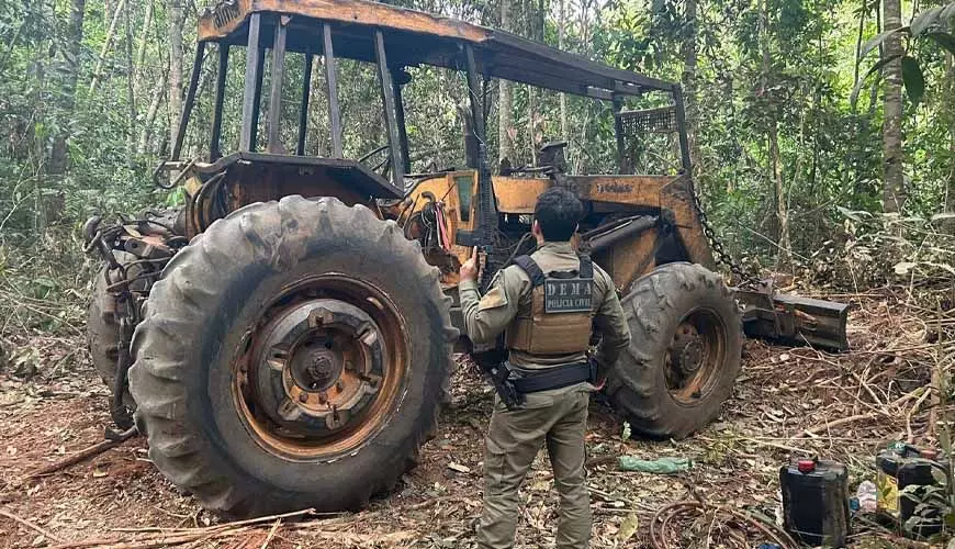 Operação Escudo Verde combate extração ilegal de madeira no norte de Mato Grosso