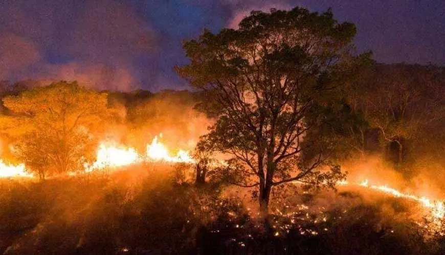 Governo Federal reconhece emergência em 59 municípios de MT por queimadas