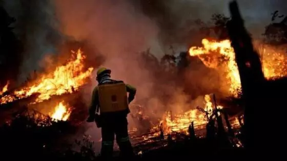 Funcionário de fazenda é encontrado carbonizado após incêndio na vegetação