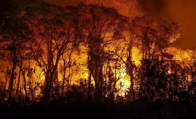 Parque Indígena Xingu tem mais de 34 mil hectares queimados em MT