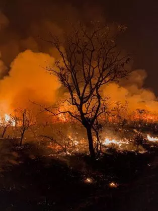 MT já queimou o equivalente a 38 vezes a cidade da SP; veja cidades com mais incêndios