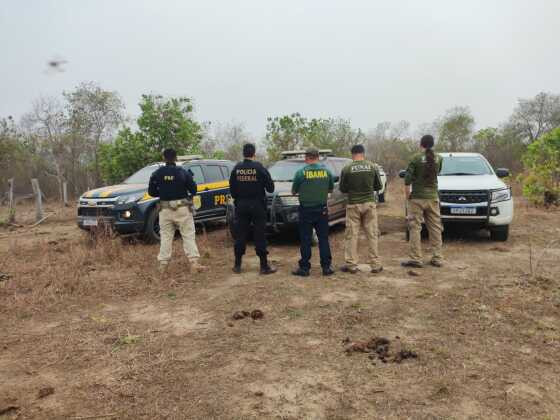 Operação combate crimes ambientais em terra indígena na Baixada Cuiabana