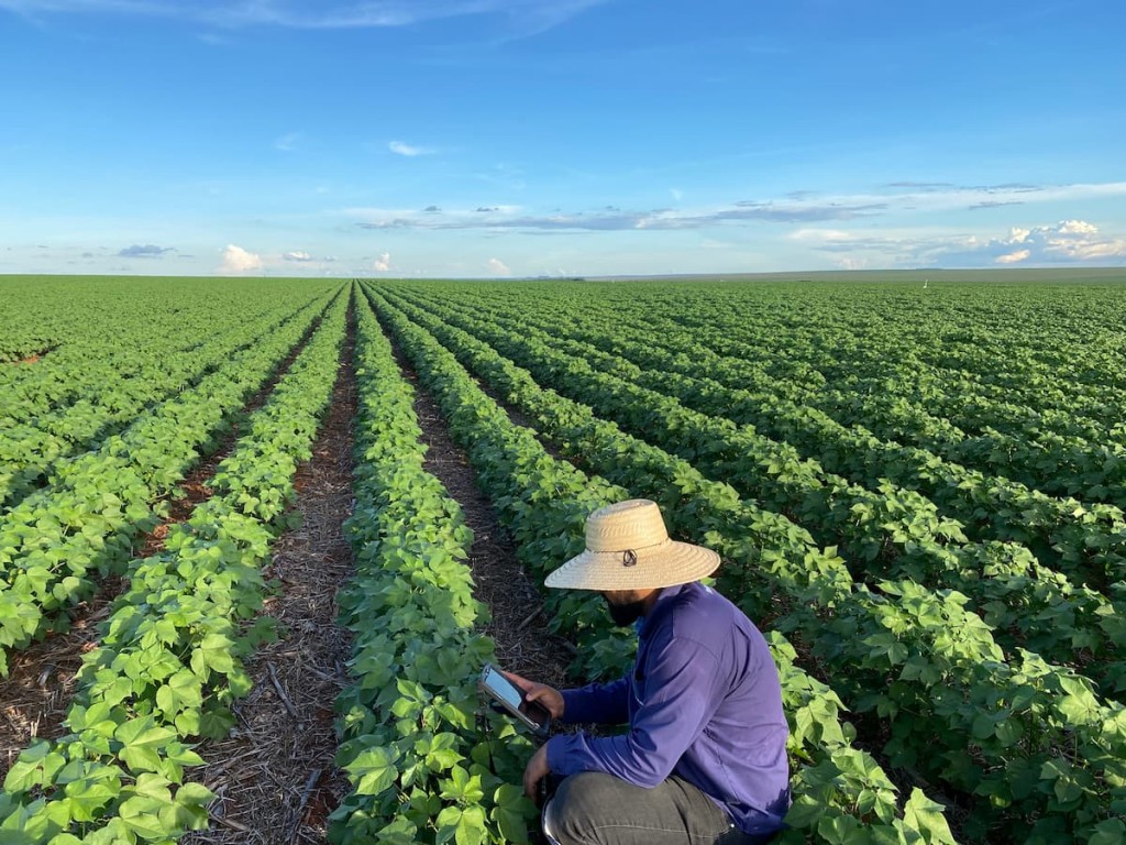 Goiás e Tocantins se destacam em competitividade no agronegócio, Sul lidera em infraestrutura