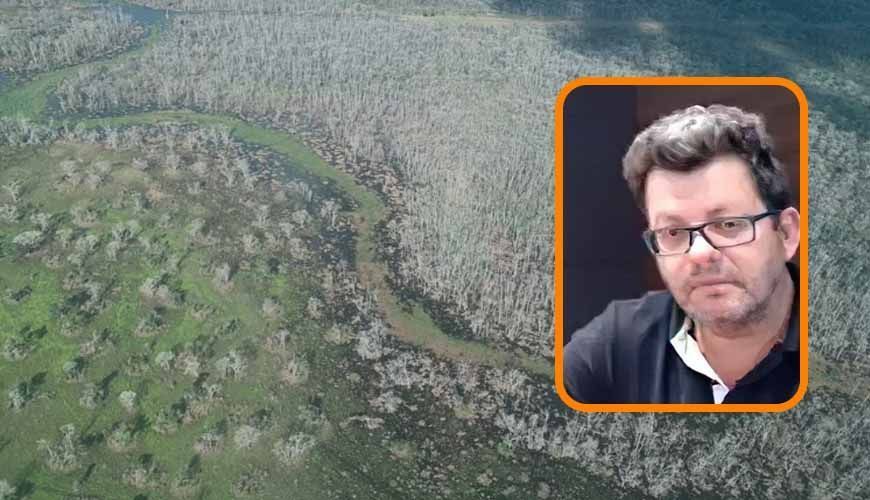 Pecuarista e mais dois que desmataram 81 mil hectares com agrotóxico viram réus