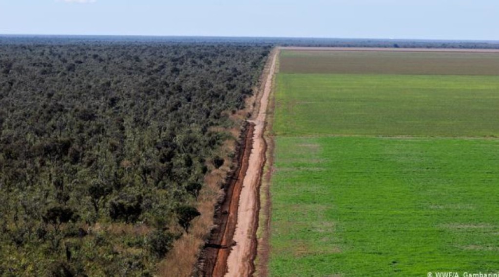 Projetos estadual e federal podem corrigir injustiças ambientais e impulsionar o agronegócio