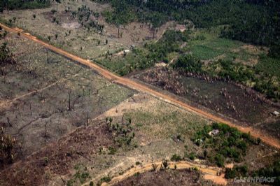 STF mandar expulsar grileiros de fazenda de ex-senador em Santa Terezinha