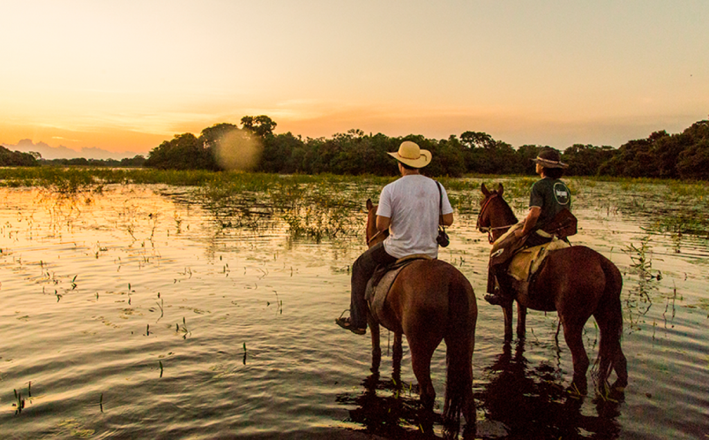 Pantanal sul-mato-grossense pode se tornar patrimônio nacional. Veja como afeta o agronegócio