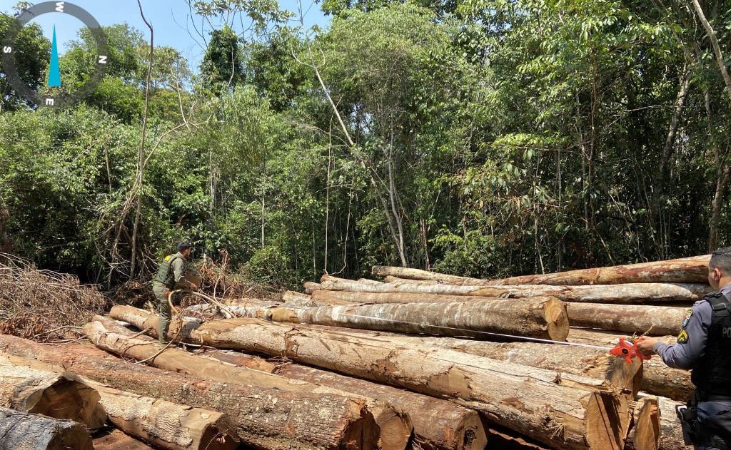 Sema-MT apreende madeira ilegal e aplica multa de R$ 1,2 milhão durante fiscalização no interior de MT