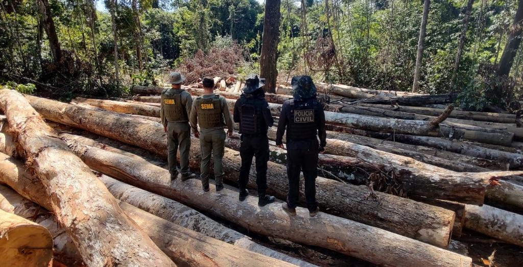 Sema e PJC apreendem 618 metros cúbicos de madeira extraída ilegalmente na região de floresta amazônica