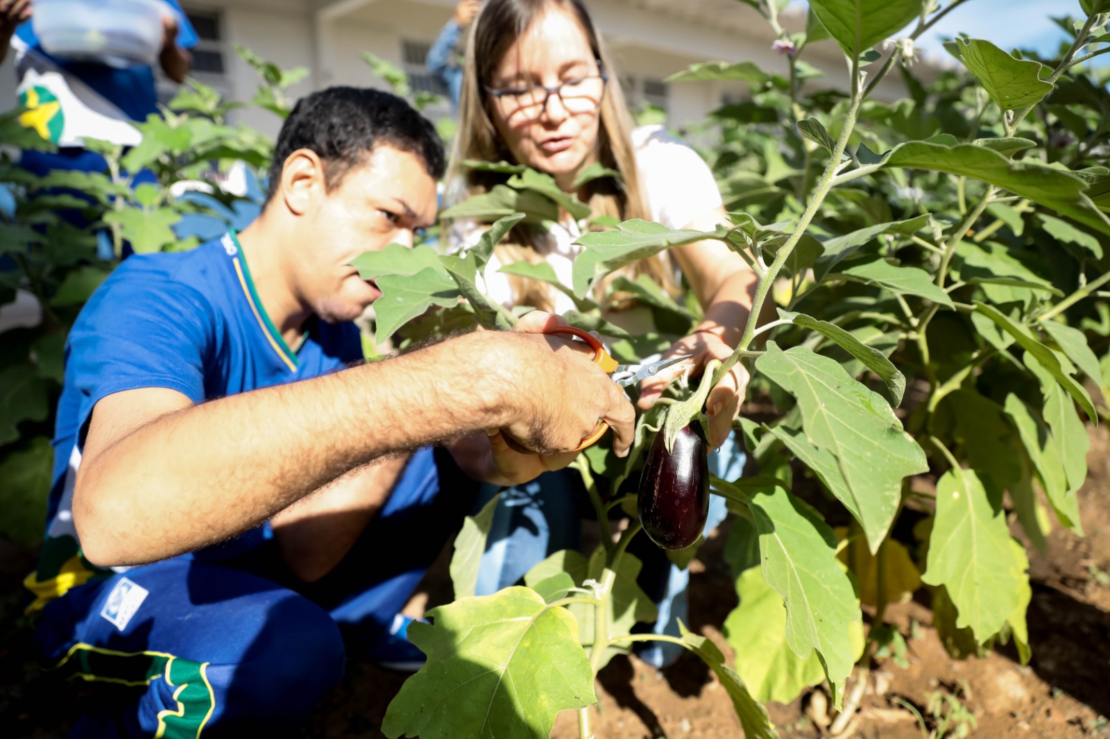 Seduc-MT amplia revista Campoqui para incluir artigos sobre educação ambiental, do campo e quilombola