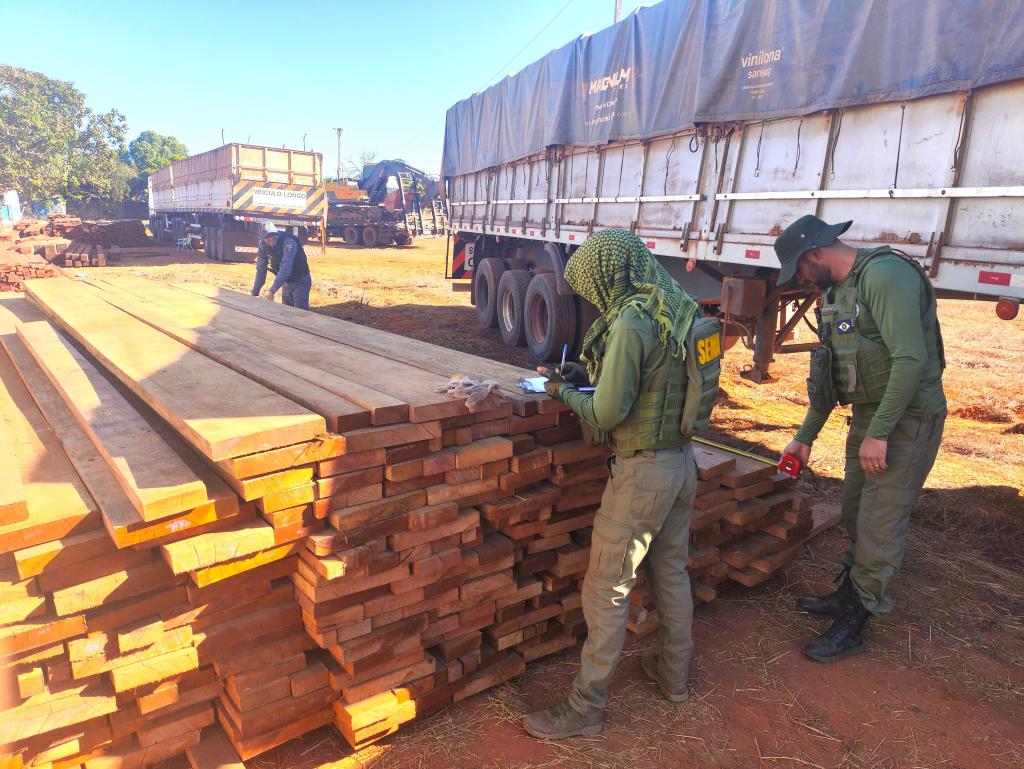 Sema e Policia Militar apreendem carretas com castanheiras durante fiscalização no interior de MT