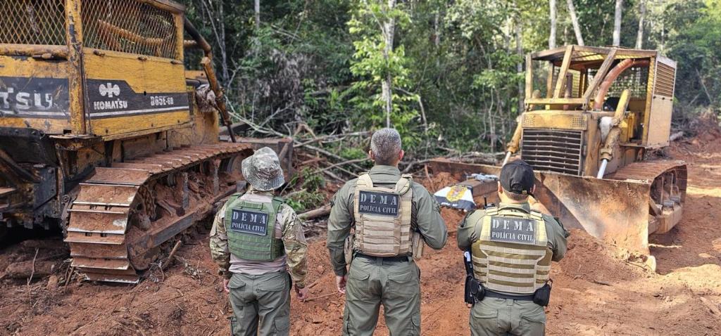 Polícia Civil realizou mais de 30 operações contra crimes ambientais no primeiro semestre de 2024