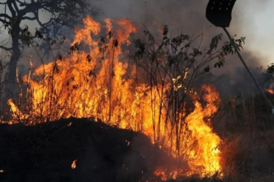 Saiba quais municípios tiveram mais queimadas nas últimas 48h em Goiás e no Brasil