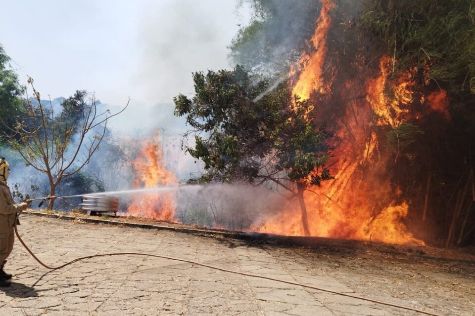 Incêndio atinge casa e comércio em Caldas Novas