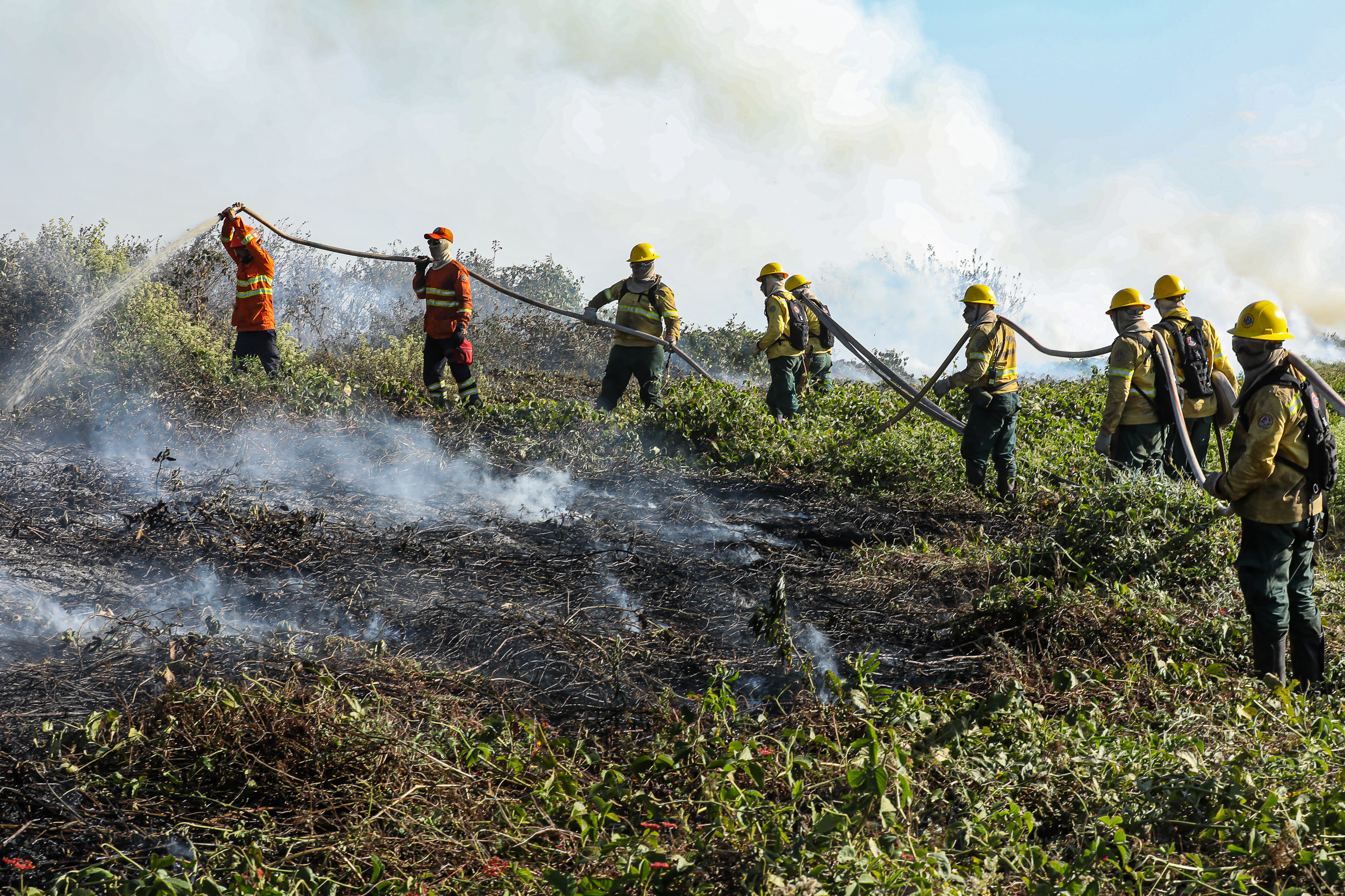 Corpo de Bombeiros extingue quatro incêndios florestais e combate outros 38 no Estado