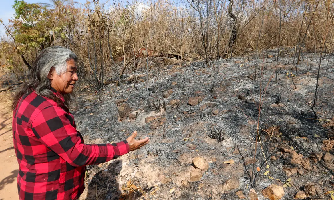 Indígenas sofrem com incêndio em área próxima a parque de Brasília