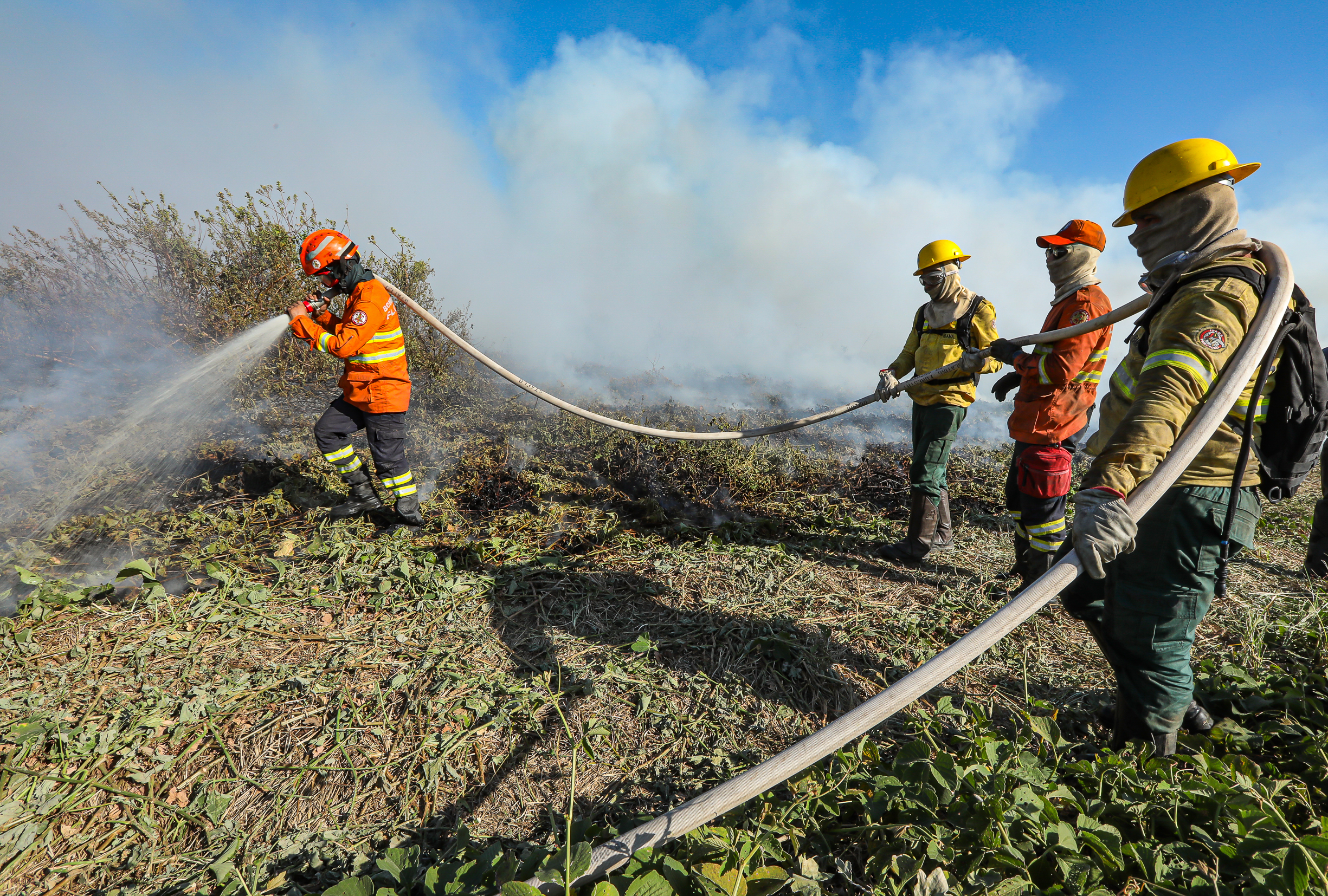 Corpo de Bombeiros combate 24 incêndios florestais em Mato Grosso nesta quarta-feira (02)