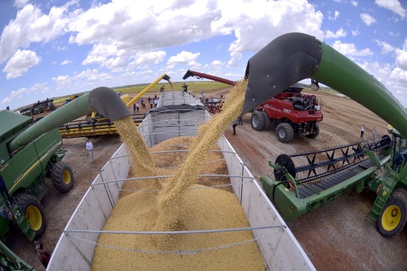 Roraima lidera crescimento do PIB no Brasil, impulsionado pelo agronegócio