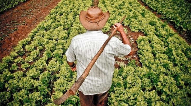 Pequenos produtores vão receber bônus do Programa de Garantia de Preços