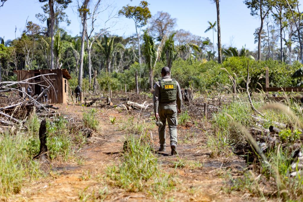 Sema deflagra 298 operações e aplica R$ 1,6 bilhão em multas contra crimes ambientais em 2024