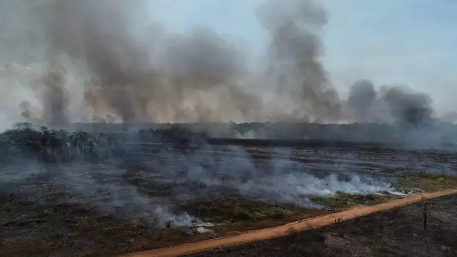 Aeroporto de Porto Velho é fechado para pousos e decolagens devido a fumaça; quatro voos foram desviados