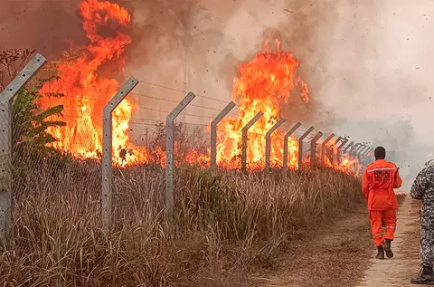 Quase 2.800 focos de incêndio foram combatidos pelo Corpo de Bombeiros em 71 dias; 242 animais encontrados mortos