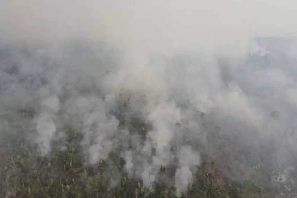 Incêndio atinge Parque Guajará-Mirim há um mês e já destruiu área de quase 50 mil campos de futebol