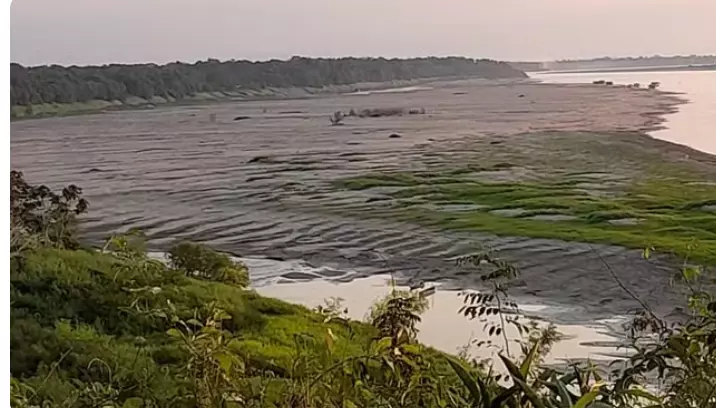 Seca extrema do Rio Madeira mata peixes e deixa ribeirinhos sem água