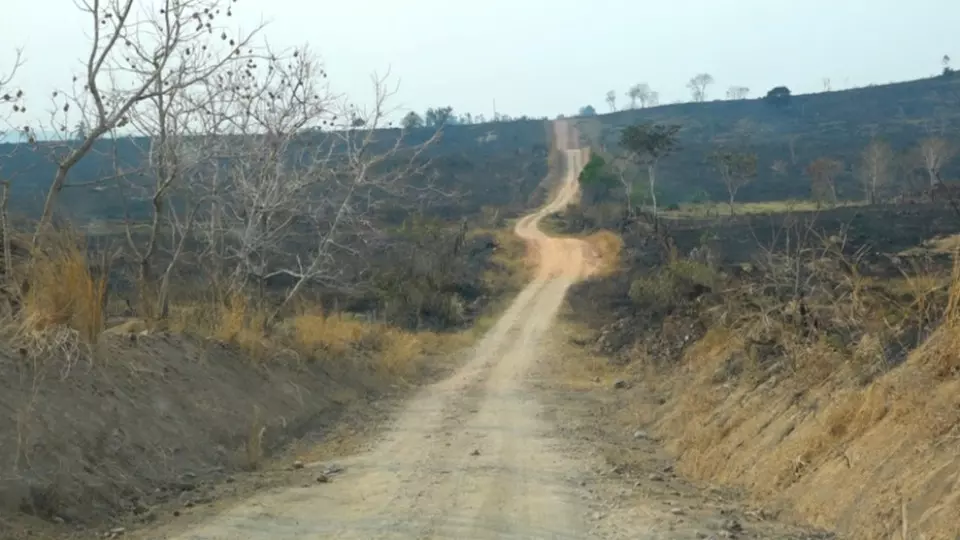 Incêndios devastam 5 mil hectares de pastagens e vegetação nativa em Alvorada D’Oeste