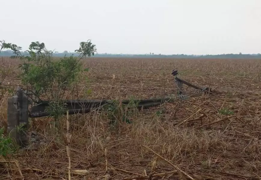 Forte temporal com raios e ventania derruba 12 postes e deixa Pimenteiras sem energia