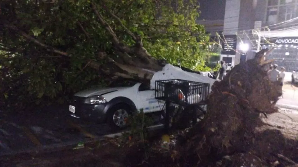 Temporal com chuva em Ji-Paraná deixa rastro de destruição