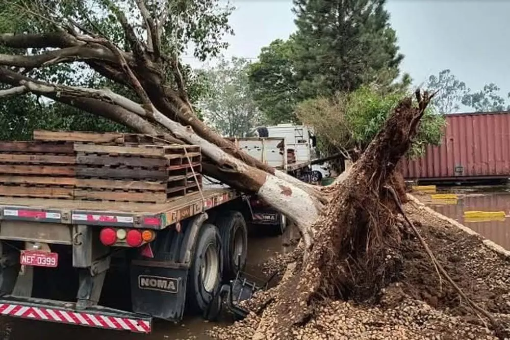 Temporal volta a causar estragos e prejuízos em Vilhena