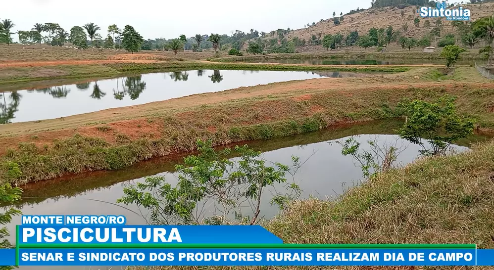 PISCICULTURA: SENAR E SINDICATO DOS PRODUTORES RURAIS DE MONTE NEGRO, REALIZAM DIA DE CAMPO