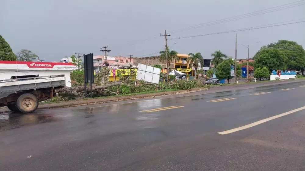 Vendaval derruba árvores e destelha casas em Ouro Preto do Oeste, RO