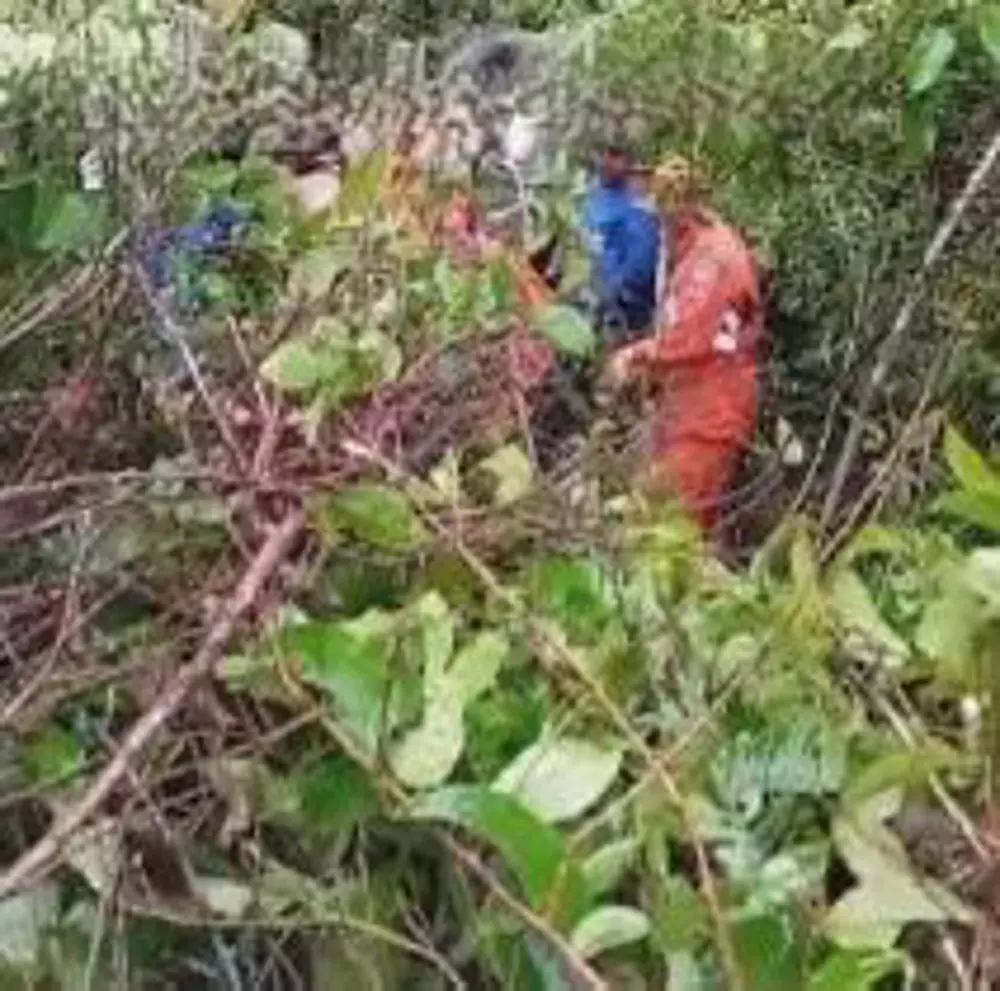 Grave capotamento de caminhonete deixa feridos na BR -364