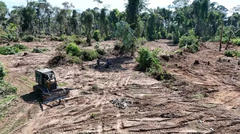 Polícia Ambiental flagra desmatamento ilegal e recupera trator furtado