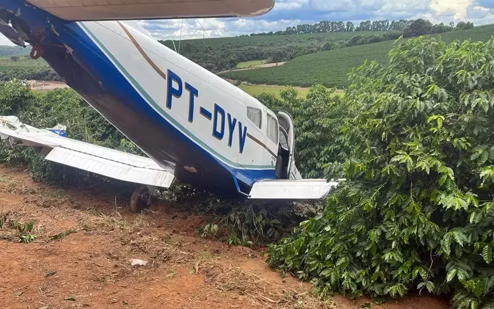 Avião de pequeno porte pousa em cafezal