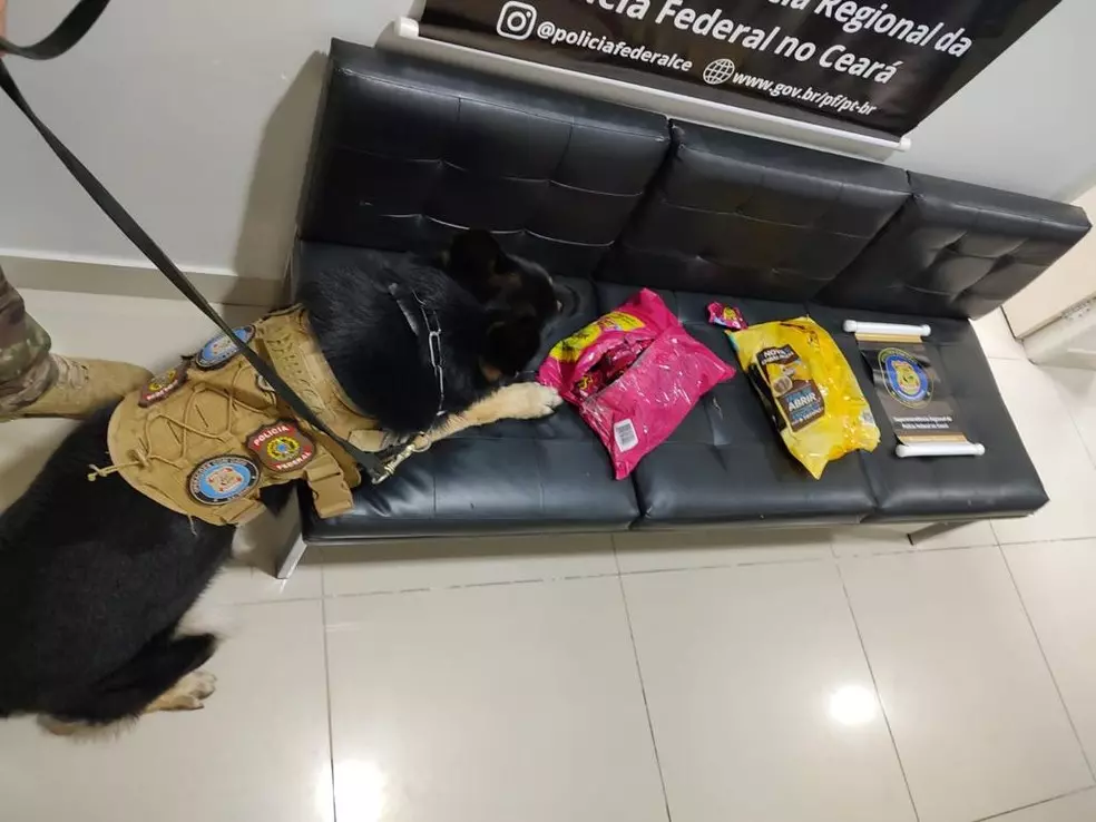 Cão farejador encontra droga em meio a chocolates no Correios