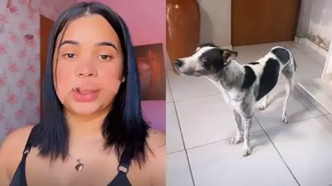 Jovem tenta beijar cachorro e tem parte do lábio arrancada pelo animal no Piauí