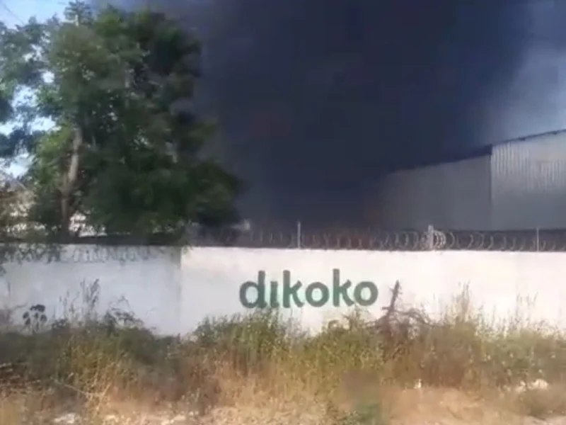 Incêndio atinge fábrica de coco em Paraipaba, no interior do Ceará