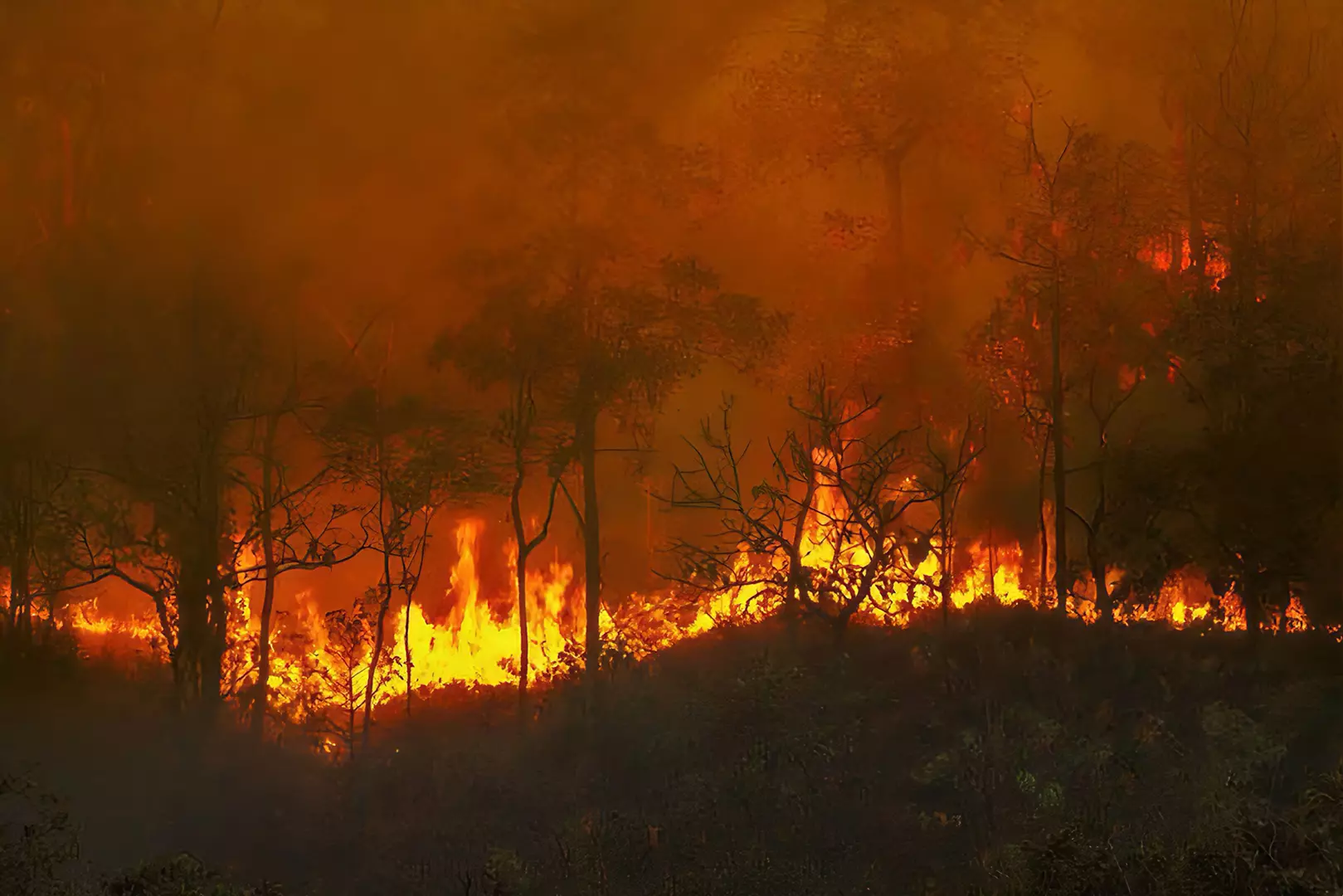 Cresce o número de focos de incêndio no Ceará