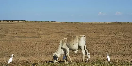 Com tempo seco, baixa umidade afeta maior parte do Ceará