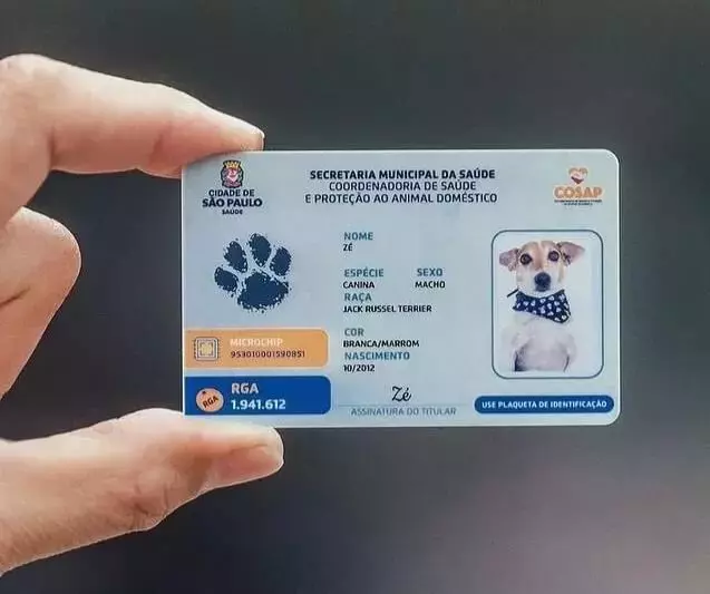 ‘RG animal’: registro passa a ser obrigatório por lei; entenda como funcionará a mudança