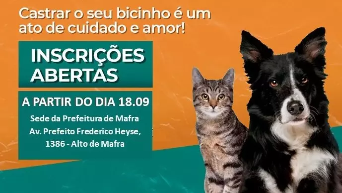 Reaberto cadastro para castração de animais em Mafra