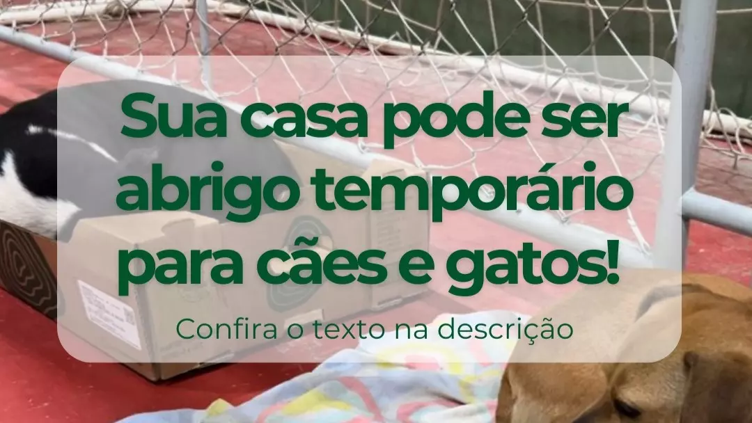 Secretaria do Meio Ambiente pede solidariedade para proteger animais de estimação na enchente