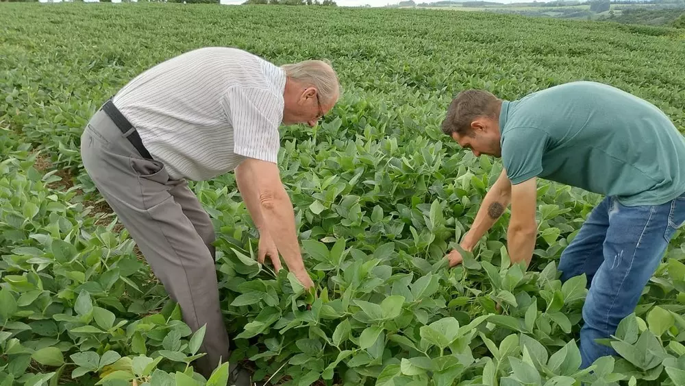 Produtividade rural de Rio Negro é destaque na região