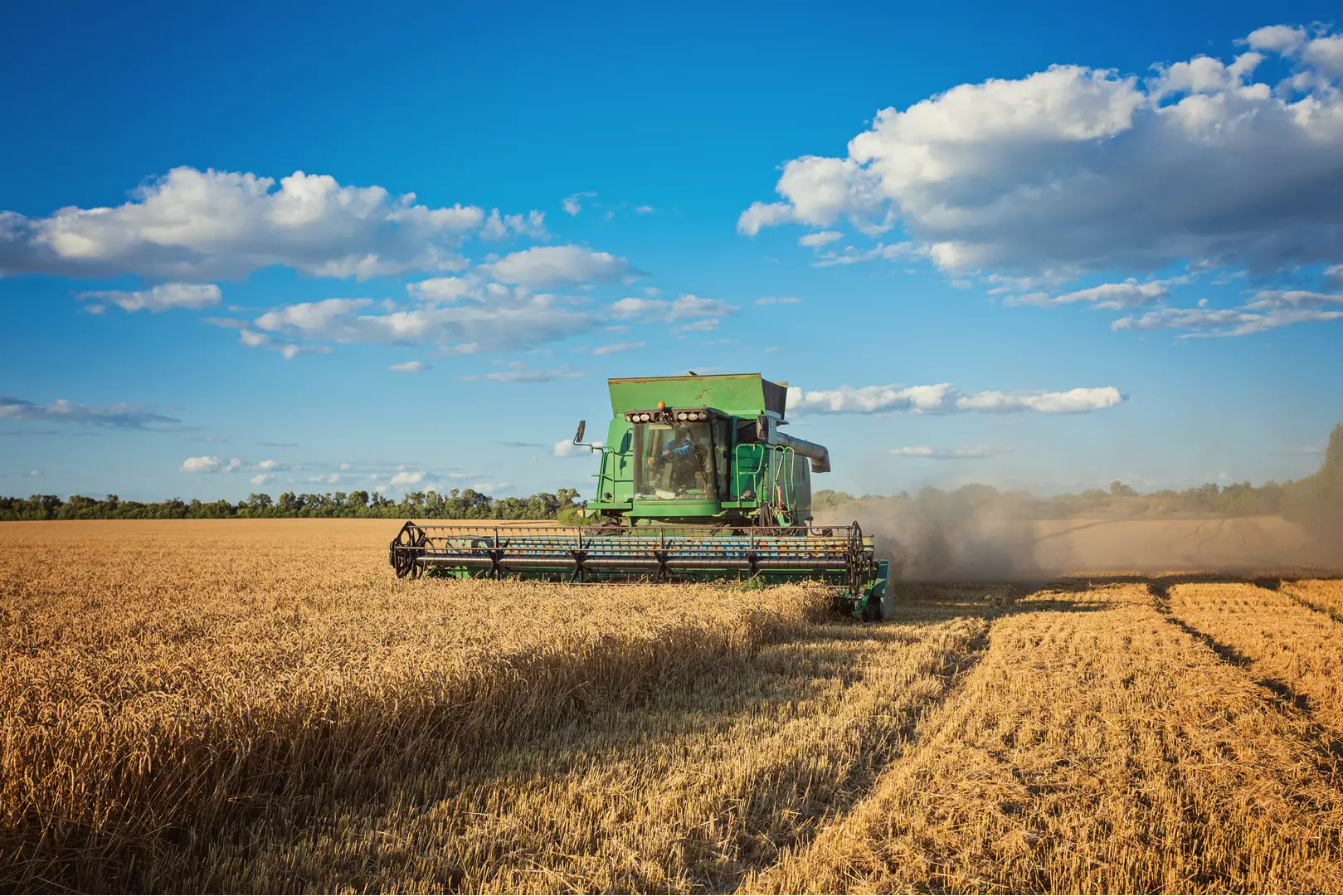 Mafra se destaca como o 3º maior produtor de agronegócio em Santa Catarina