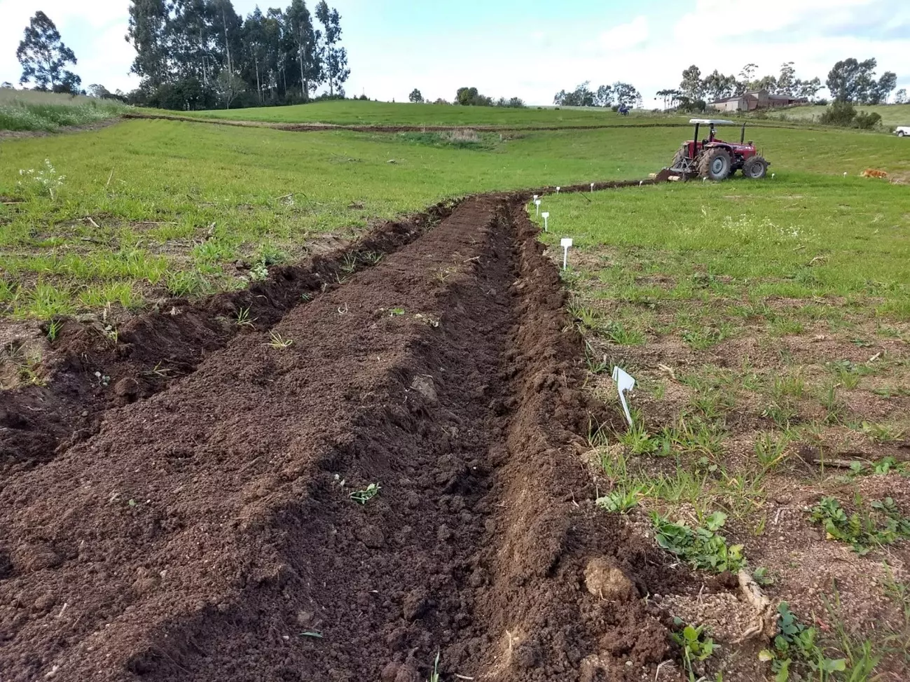 Dia da Agricultura Familiar: conheça programas de incentivos a produtores rurais