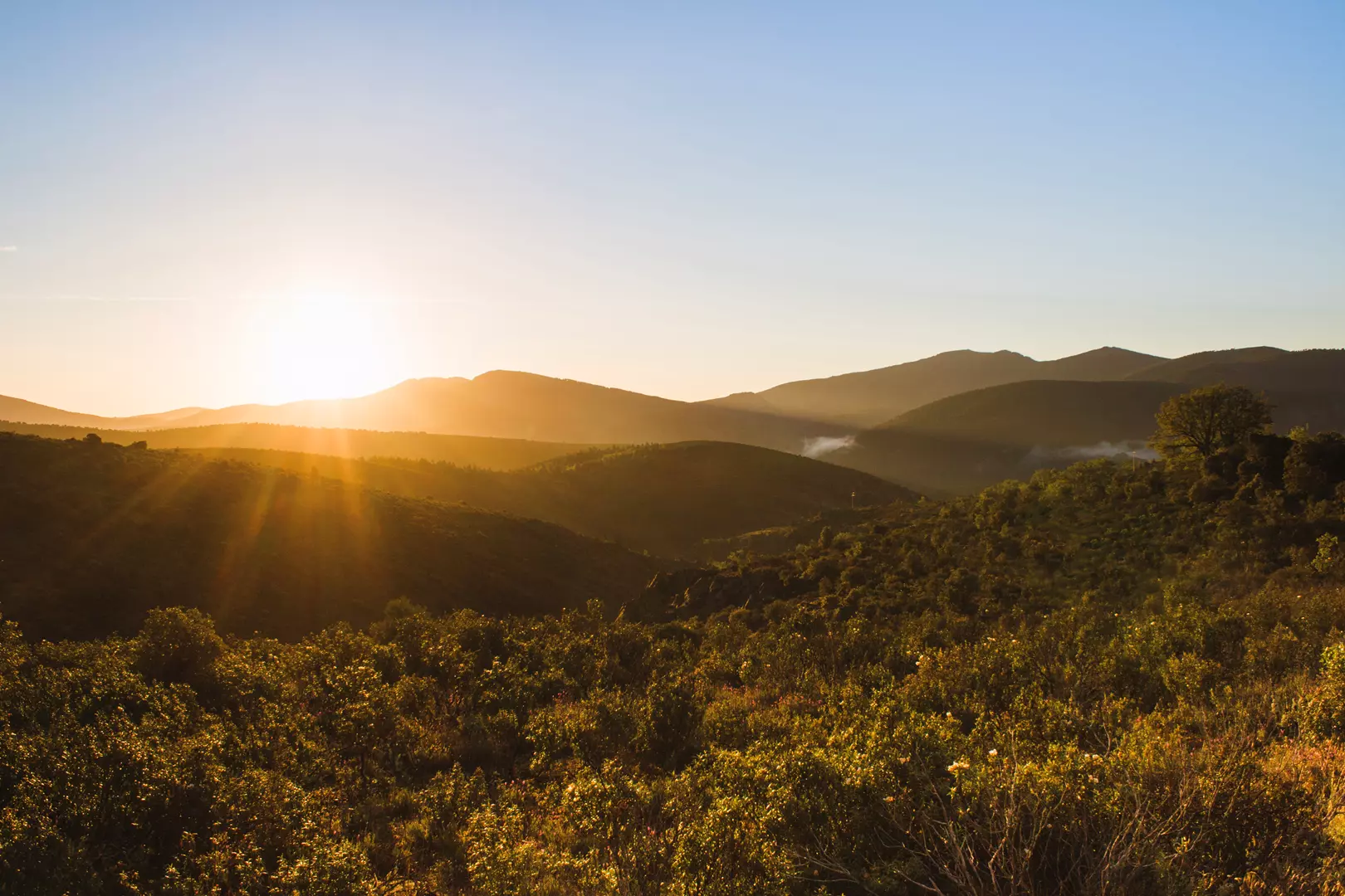 Previsão do tempo: massa de ar frio perde intensidade e temperaturas podem chegar a 30ºC em Santa Catarina